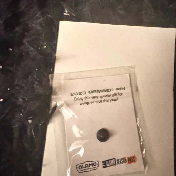 Alamo Christmas pin end of the year last year’s season pass - Picture 2 of 2